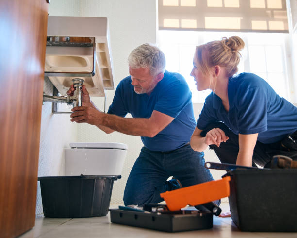 Best Best Plumbers Near Me  in Sanborn, IA